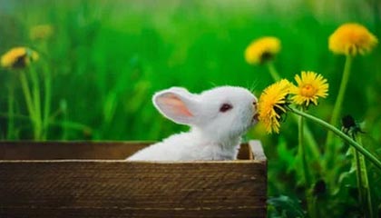 男子开宝马车下乡收集村民身份证信息